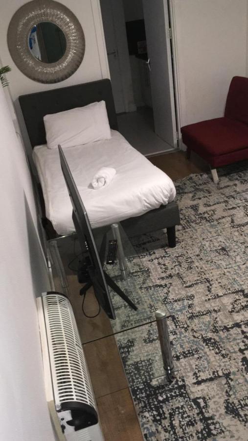 Lovely Studio Flat With Free Parking - Near To City Center Суонси Номер фото